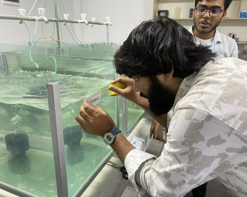 Students researching sustainable aquaculture practices.